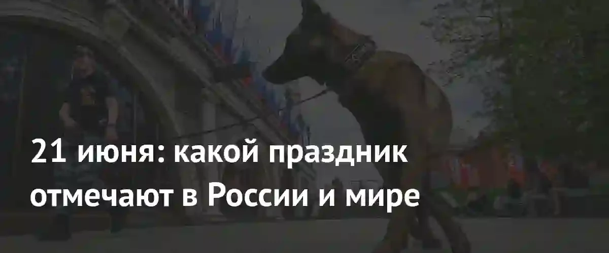 Праздники 21 июня: от Дня кинолога до Международного дня йоги