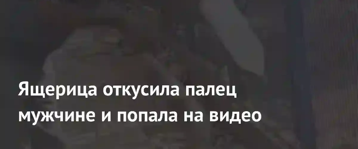 В Бразилии ящерица тегу откусила мужчине фаланги пальцев при попытке напоить