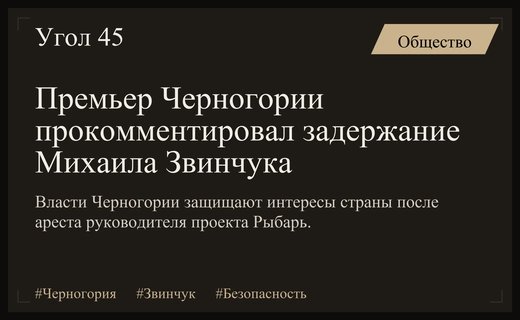 Премьер Черногории Милойко Спаич прокомментировал задержание руководителя проекта Рыбарь