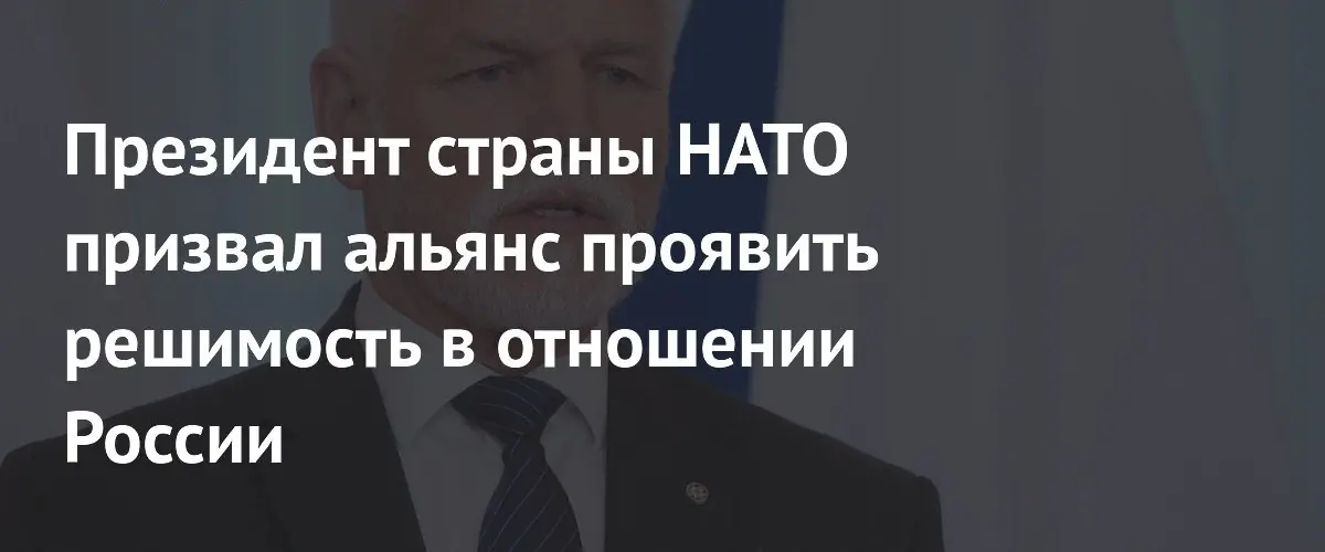 Президент Чехии призвал НАТО сбивать российские самолеты на границах альянса