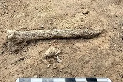 Археологи обнаружили древние украшения возрастом более сорока тысяч лет под Воронежем