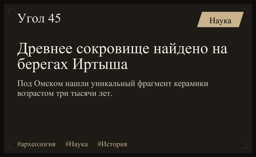Археологическая сенсация под Омском: фрагмент древней керамики возрастом три тысячи лет