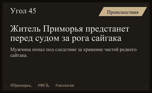 В Приморье жителю грозит тюрьма за незаконное хранение рогов сайгака