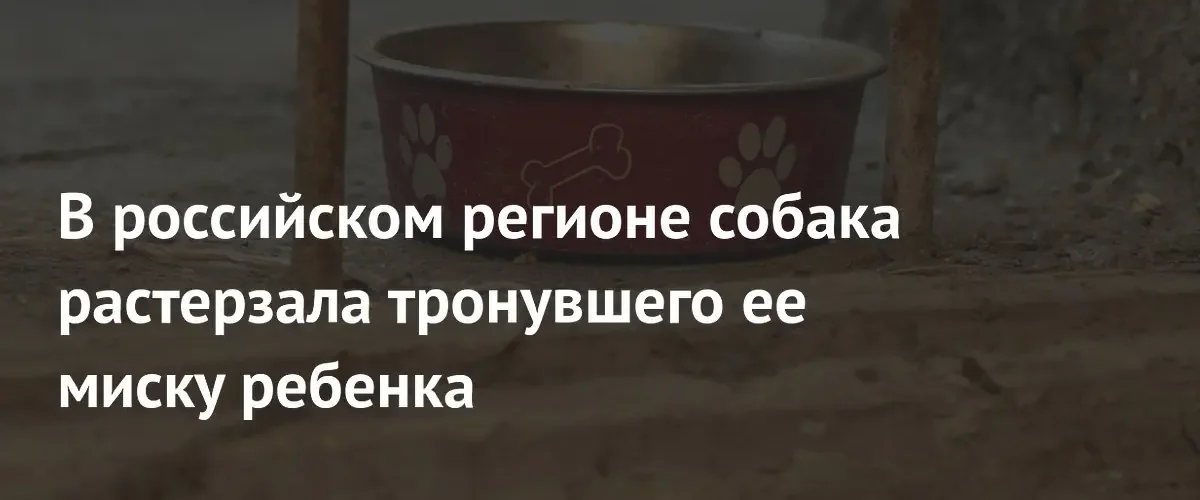 В Приморском крае сторожевая овчарка напала на полуторагодовалого ребенка