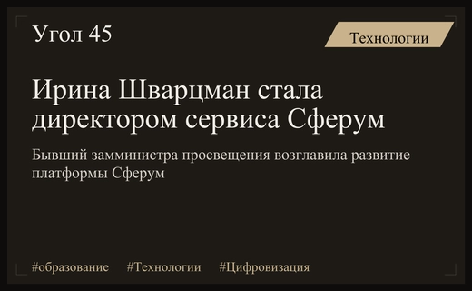 Ирина Шварцман возглавила российский образовательный сервис Сферум после ухода из Минпросвещения
