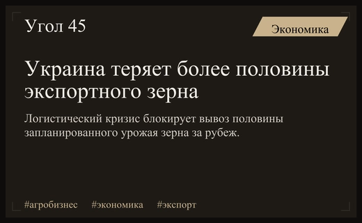 Кризис агросектора: Украина рискует потерять более половины экспортного зерна