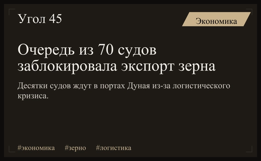 Кризис в портах Дуная: десятки судов заблокированы в ожидании украинского зерна