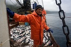 Кризис в рыбной отрасли: вылов лососевых в России сократился в три с лишним раза