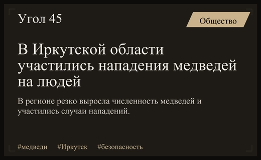 В Иркутской области участились нападения медведей и резко выросла их численность