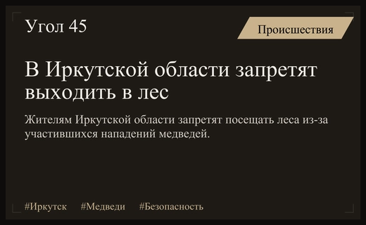 В Иркутской области вводят запрет на посещение лесов из-за медведей