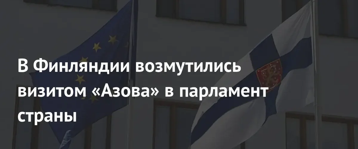 Профессор Хельсинкского университета осудил визит представителей «Азова» в парламент Финляндии