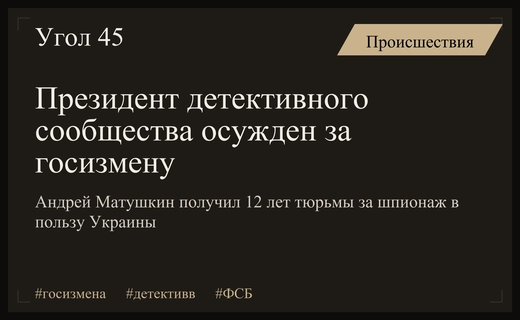 Громкое дело о госизмене: президент детективного сообщества приговорен к двенадцати годам