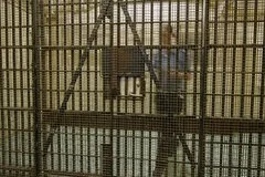 Провальная смертная казнь в Теннесси: преступница выжила после двух инъекций