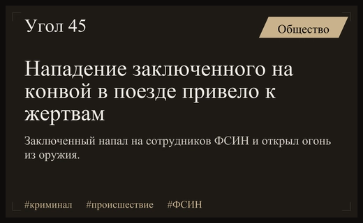 Кровавая бойня в поезде: СК возбудил дело после нападения заключенного