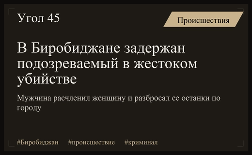 Кровавая расправа в Биробиджане: задержан мужчина за жестокое убийство женщины