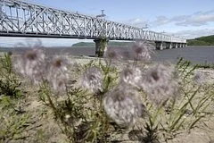 Уровень воды в Амуре приближается к критической отметке в Комсомольске-на-Амуре