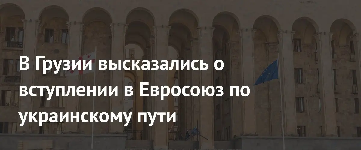 В Грузии высказались о вступлении в Евросоюз по украинскому пути