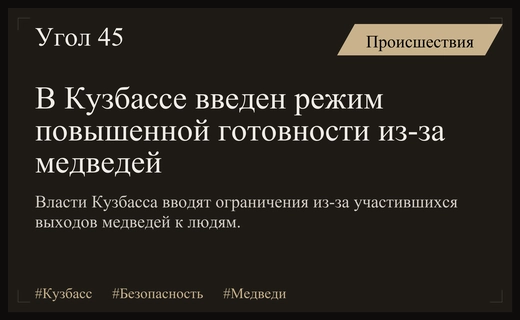 В ряде городов Кузбасса введен режим повышенной готовности из-за медведей