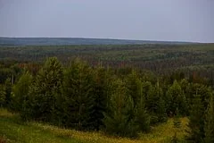 Исчезновение семьи Усольцевых не остановило туристический поток в Кутурчинском Белогорье