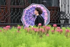 Осеннее потепление в Москве: синоптики прогнозируют бабье лето на минималках