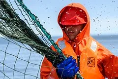 Искусственный интеллект поможет российским рыбакам находить косяки рыбы в океане