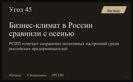 РСПП сравнил текущее состояние российского делового климата с осенним сезоном