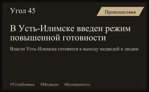 В Усть-Илимске объявлен режим повышенной готовности из-за участившихся нападений медведей