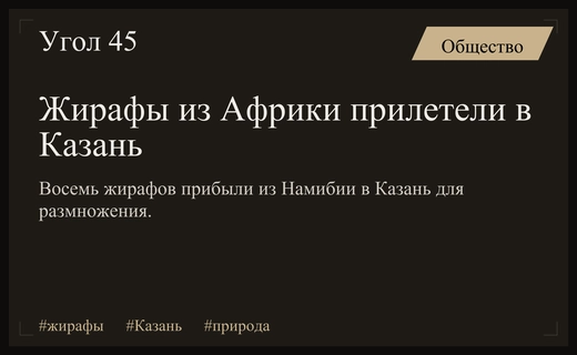 Исторический перелет жирафов из Африки в Казань на самолете Ил-76