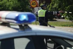 От коров до кирпичей: страховые компании назвали самые нелепые ДТП