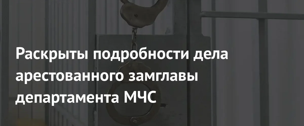 Стали известны детали дела о хищениях в гуманитарных проектах МЧС