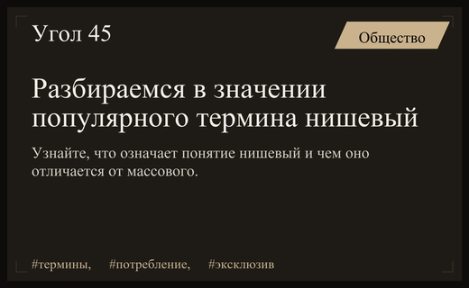 Что означает термин нишевый и как он определяет современное потребление