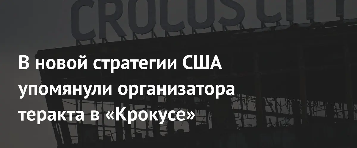 Стратегия США по борьбе с террором включила организатора атаки на Крокус