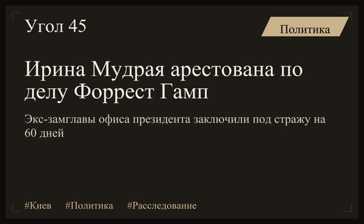 Суд арестовал экс-замглавы офиса президента Ирину Мудрую по делу Форрест Гамп