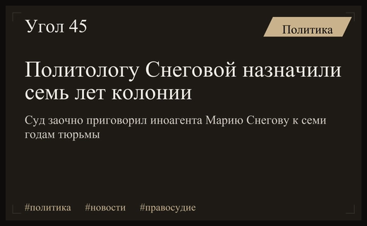 Суд заочно приговорил политолога Марию Снегову к семи годам колонии