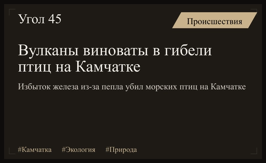Вулканический пепел стал причиной массовой гибели птиц на Камчатке