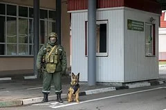 Гуманитарный шаг: Россия и Украина провели обмен гражданскими лицами через Беларусь