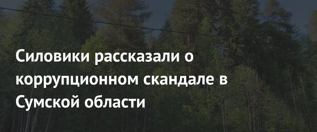 В Сумской области разгорается крупный коррупционный скандал из-за охраны лесов
