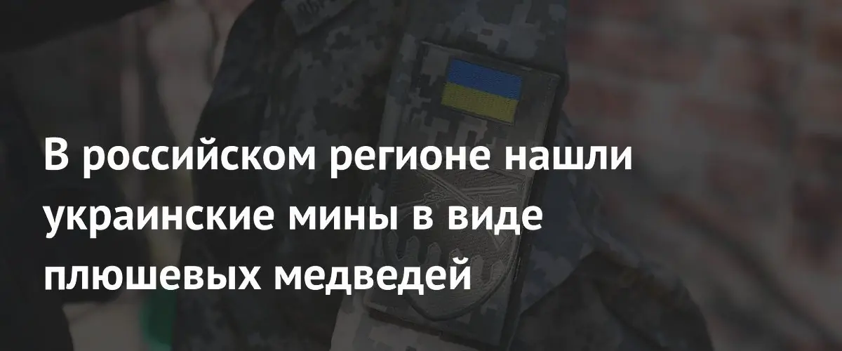В Курской области обнаружили самодельные мины‑медведи украинских сапёров