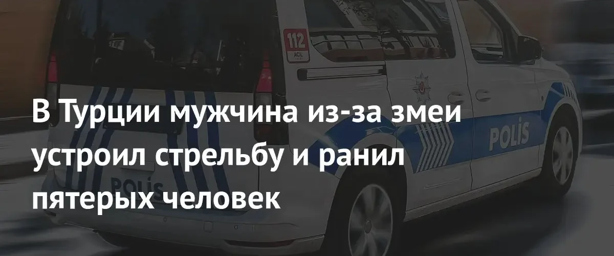 В Турции мужчина ранил пятерых человек из-за змеи в доме