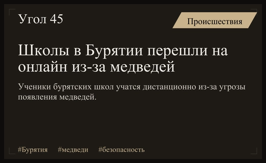 В Бурятии школы перешли на дистанционное обучение из-за активности медведей