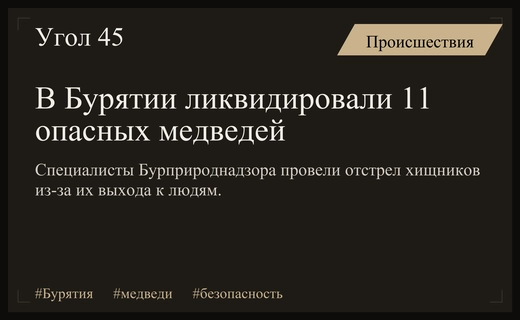 В Бурятии участились случаи выхода медведей к людям и ликвидация хищников