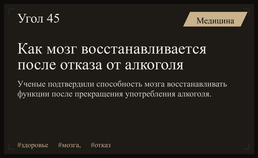 Путь к исцелению: как мозг восстанавливается после прекращения употребления алкоголя