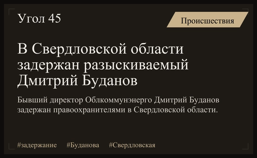 В Свердловской области задержан экс-глава Облкоммунэнерго Дмитрий Буданов