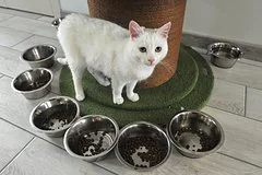 Тверские школьники заменили праздничные букеты на корм для приюта животных