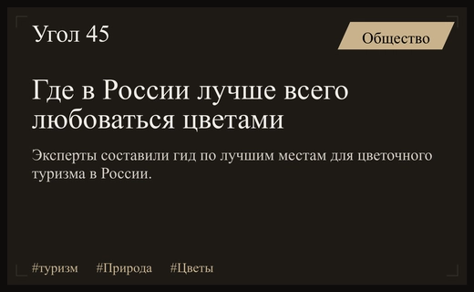 Цветочный бум в России: эксперты назвали лучшие регионы для флоритуризма
