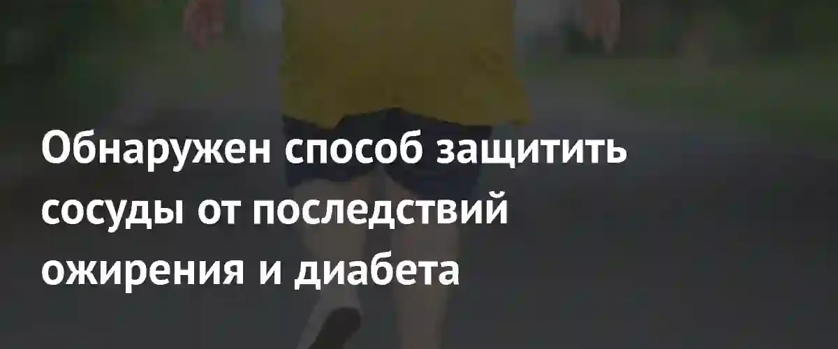 Швейцарские ученые нашли способ защитить сосуды через эпигенетическое перепрограммирование клеток