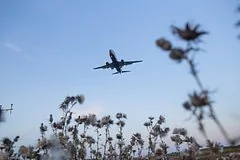 Авиационная ситуация в Москве стабилизировалась после временного приостановления полетов