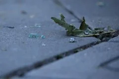 Авиаудары Пакистана по территории Афганистана привели к гибели мирных жителей