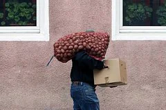 Европейский рынок картофеля ждет резкий дефицит и скачок цен