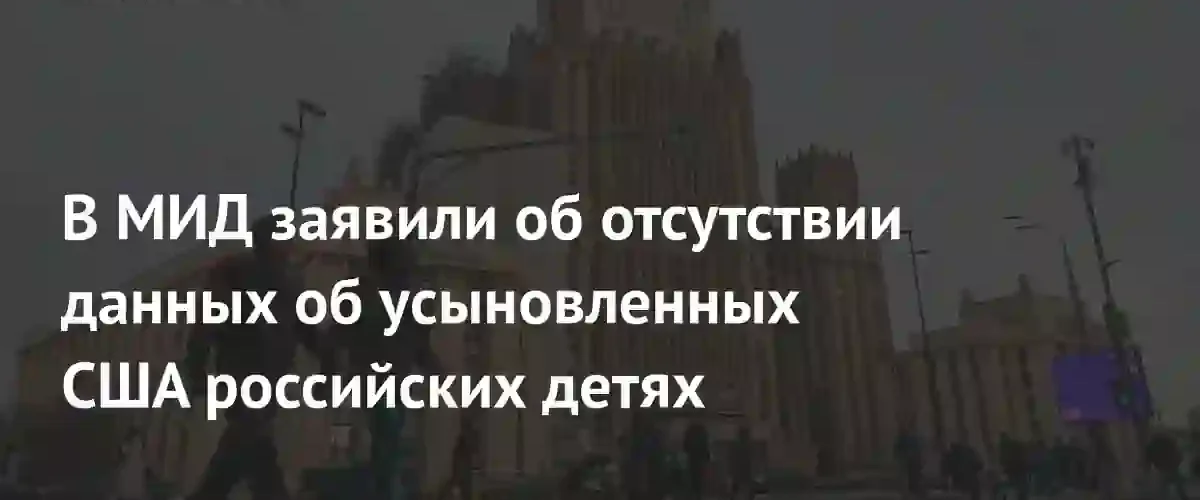 МИД РФ выразил обеспокоенность отсутствием информации об усыновленных в США российских детях